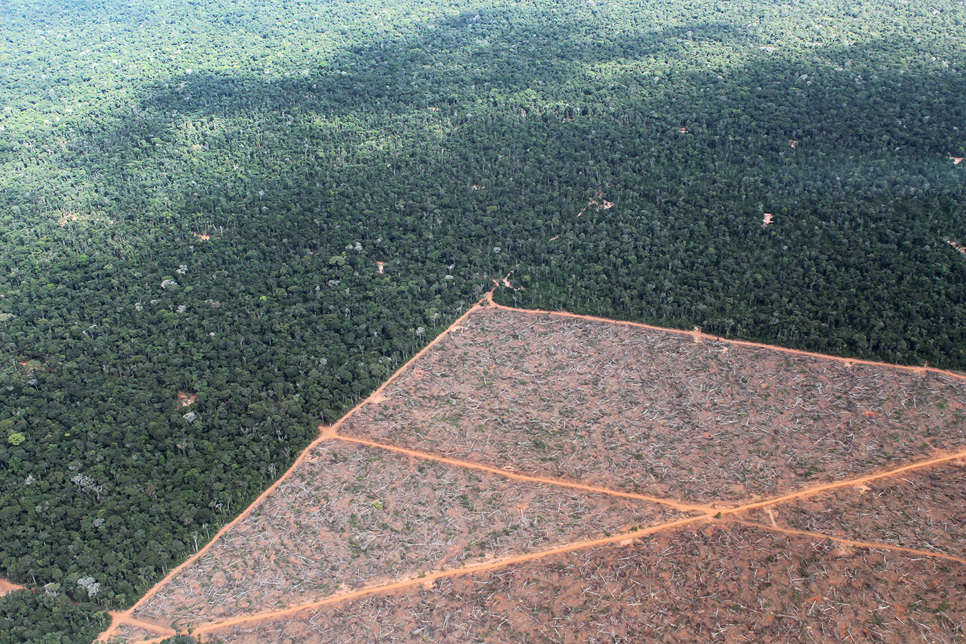 Deforestation outside the boundaries of the Xingu Indigenous Park. Photo: Traci Romine