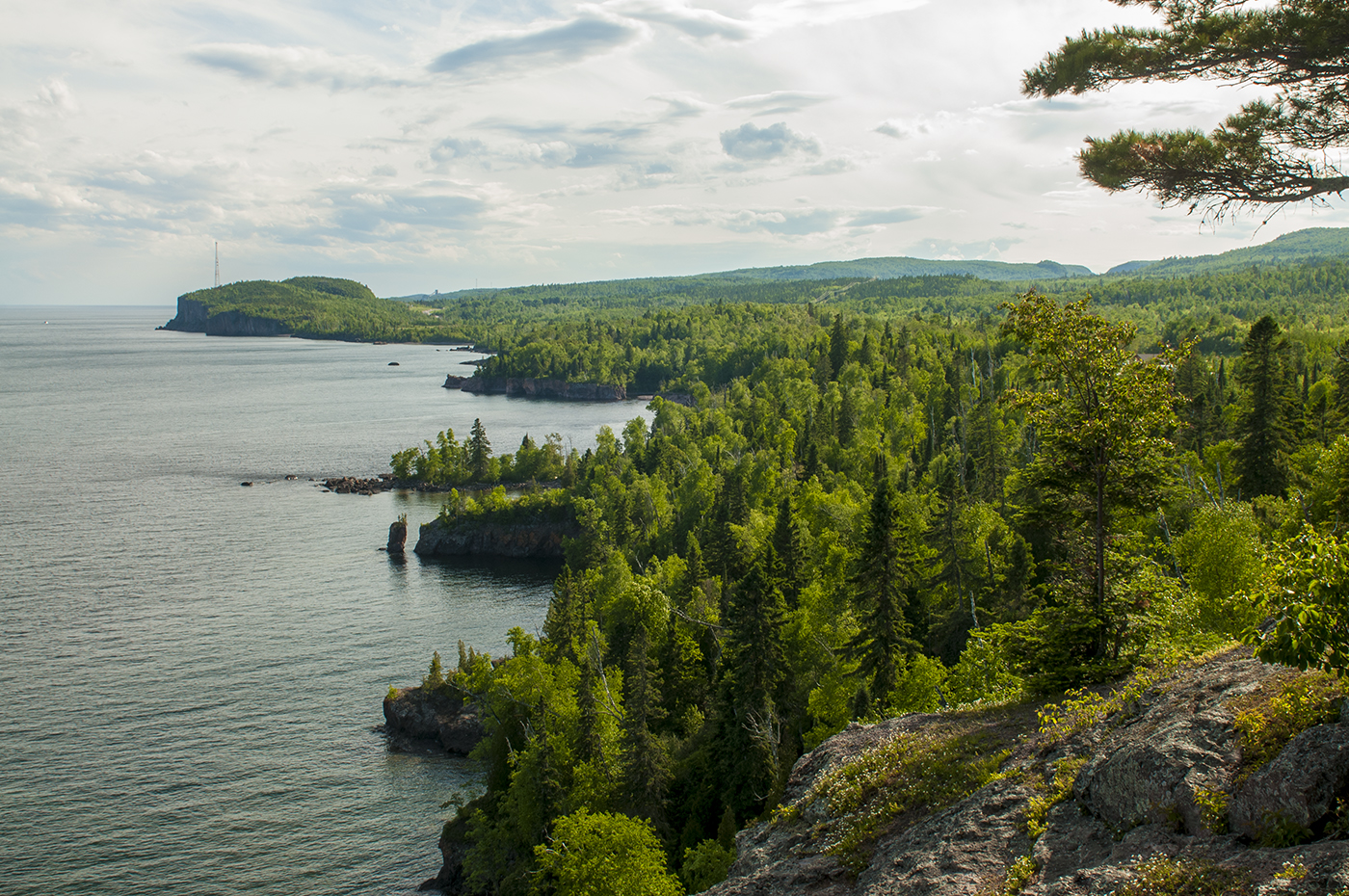 Tettegouche State Park forest and shoreline