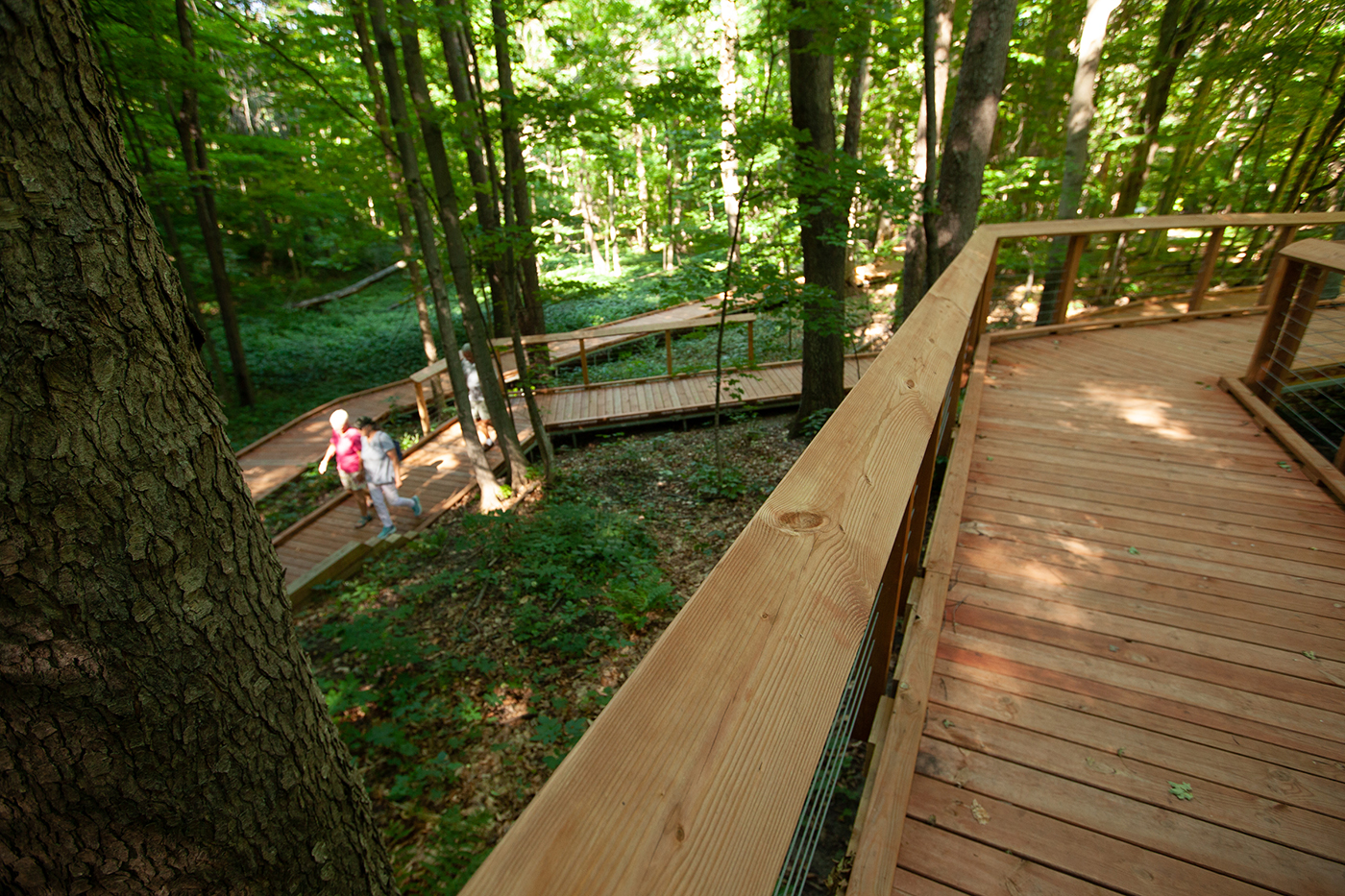 The Overlook Trail features a series of switchbacks, which were designed to minimize the impact on the forest.