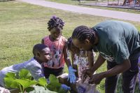 Three young children help and learn about gardening activity while wearing cloves and at the Berston Filed House in Flint, Michigan on July