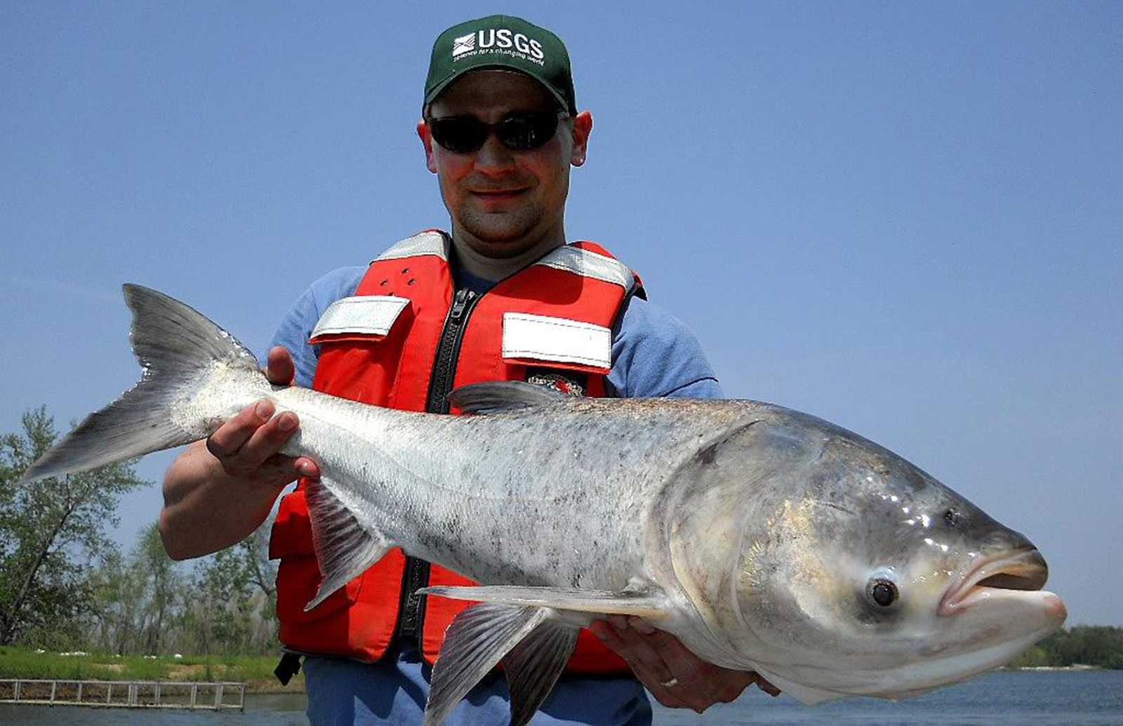A USGC fishing and wildlife professional holds up to the camera a large Asian carp fish while standing on the edge of a lake.