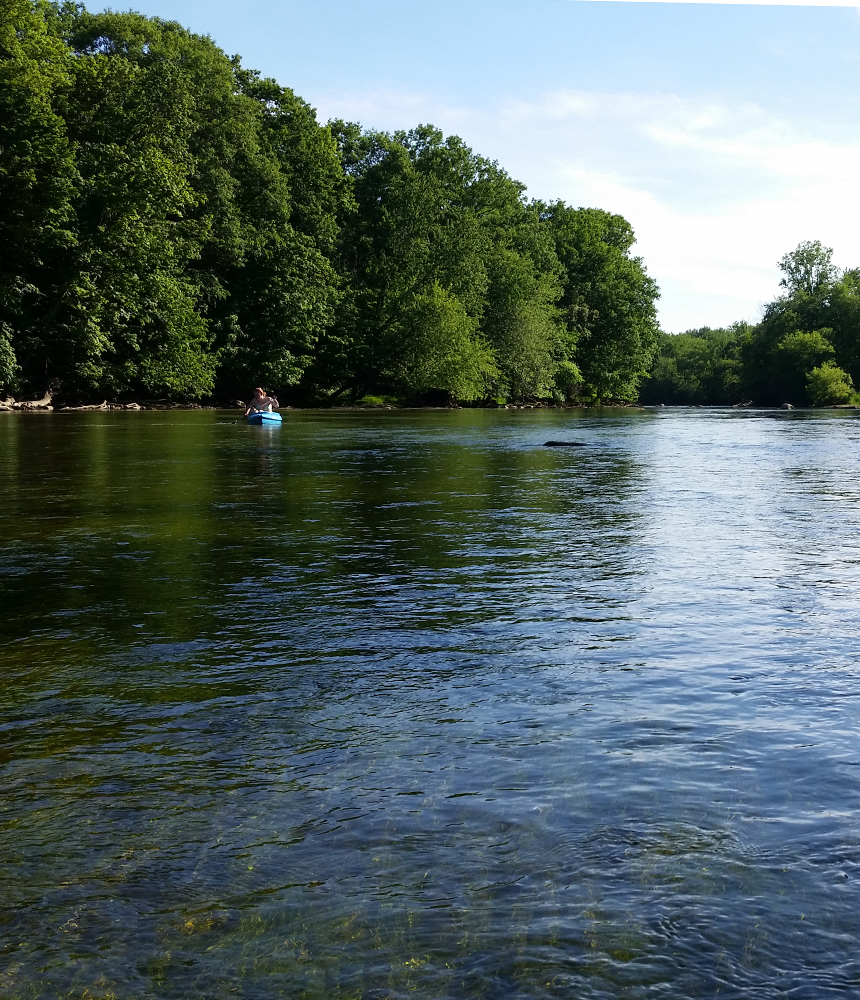 A kayaker is shown in the distance paddling down a large tree-lined river.