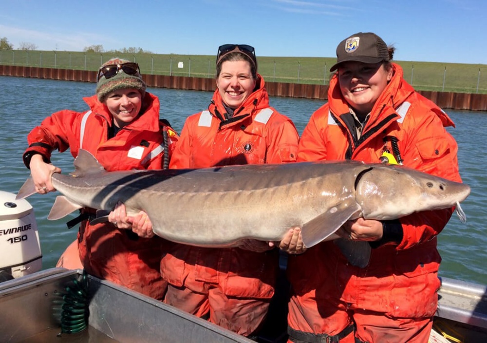 Three smiling women wearing bright orange outdoor gear stand in a boat in a waterway holding a very large sturgeon.