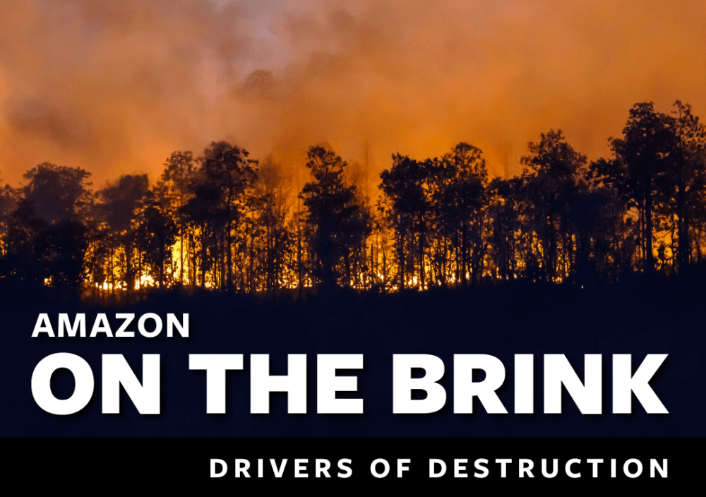 An illegal fire illuminates the night sky in the Brazilian Amazon. Text reads Amazon on the brink: Drivers of destruction.
