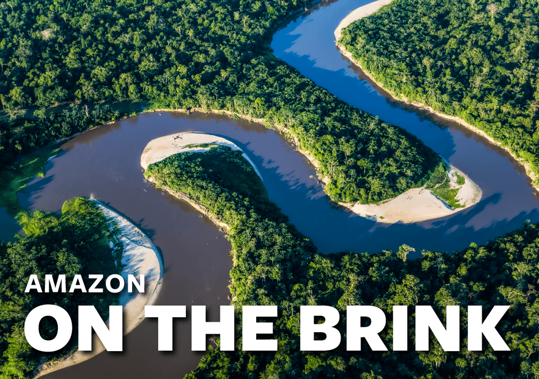 Thumbnail image of an infographic titled: Amazon on the brink. The Amazon runs through a forested area. Text reads Amazon on the brink.