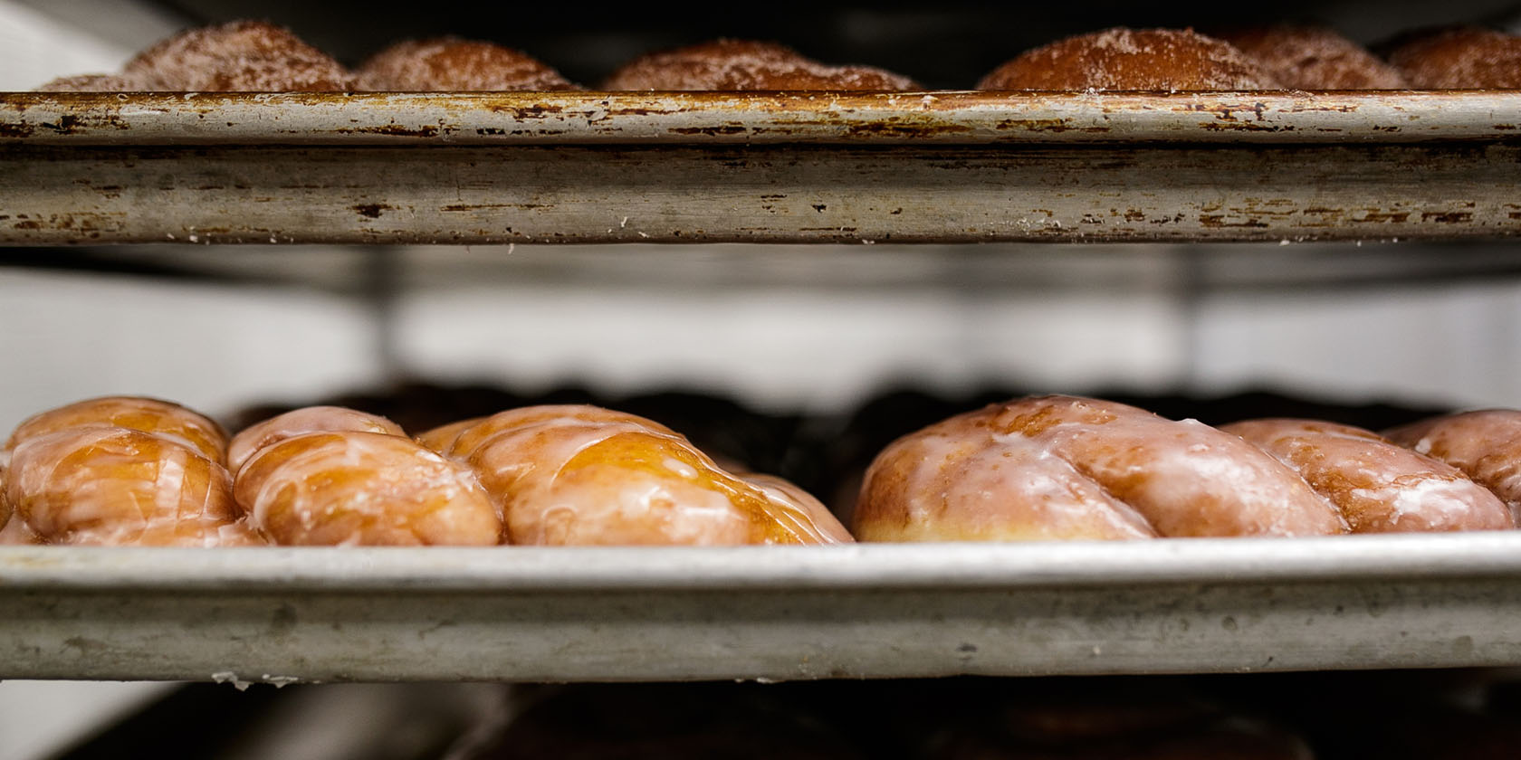 Fresh doughnuts sit on baking sheets.