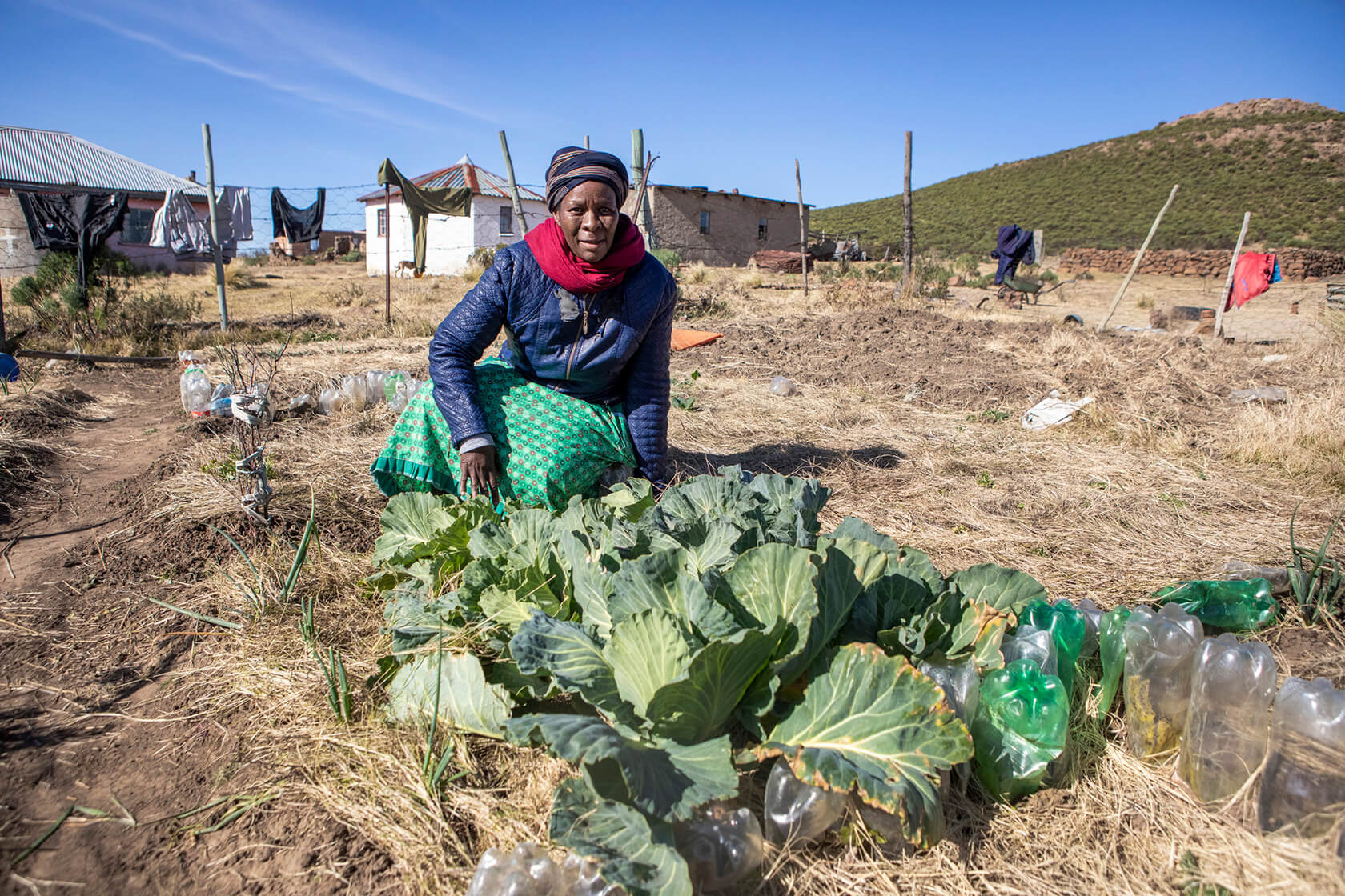 A person kneels in a garden, tending to leafy green plants. The garden is surrounded by plastic bottles and set in a rural area with houses and hills in the distance.