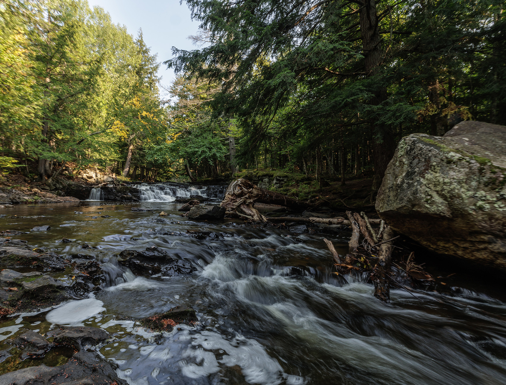 A shallow forest stream flowing over rocks beneath tall trees, with sunlight filtering through the green foliage.