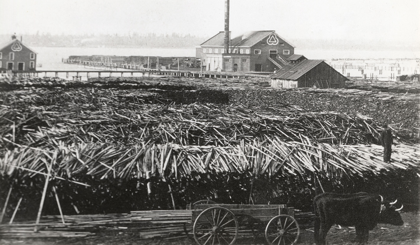 Looking north at the L.G. Mason Lumber Company sawmill in Muskegon, Michigan, 1868. An oxen-drawn cart, slabs, and pilings are in the foreground. An unidentified man is standing on the slabs. Muskegon Lake and North Muskegon are in the distance. At far right are pilings in the lake.