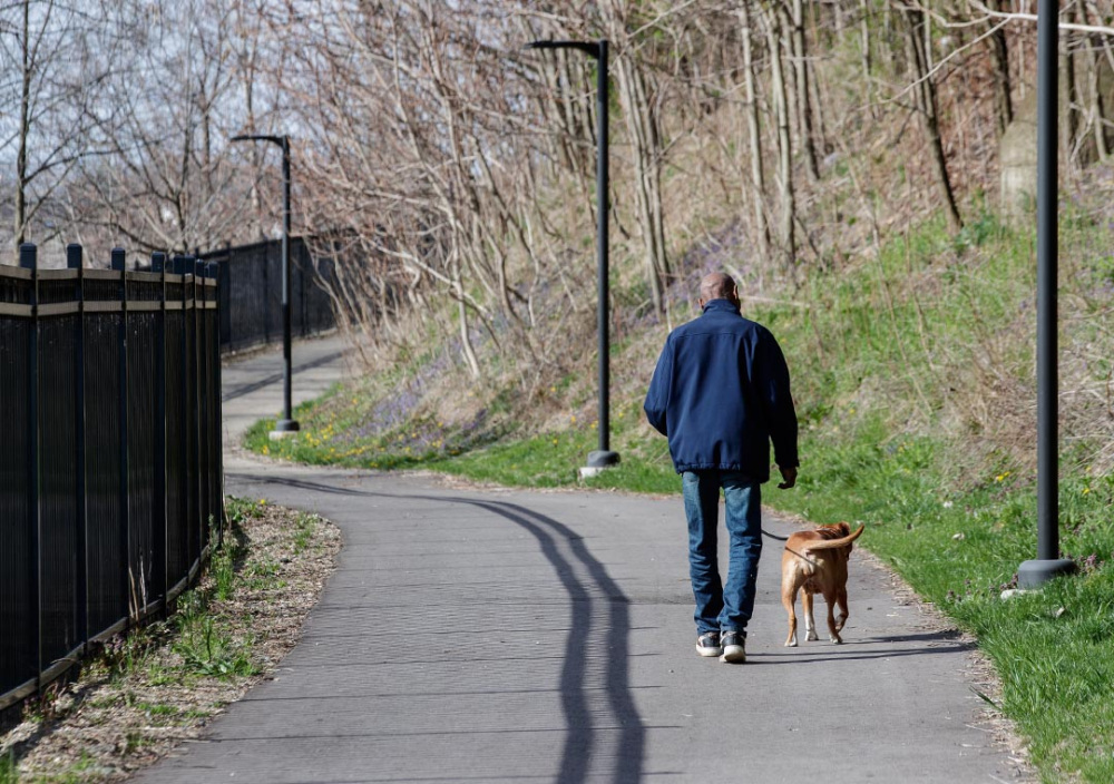 A man with his back to the camra walks with his dog on the Flint River trail.